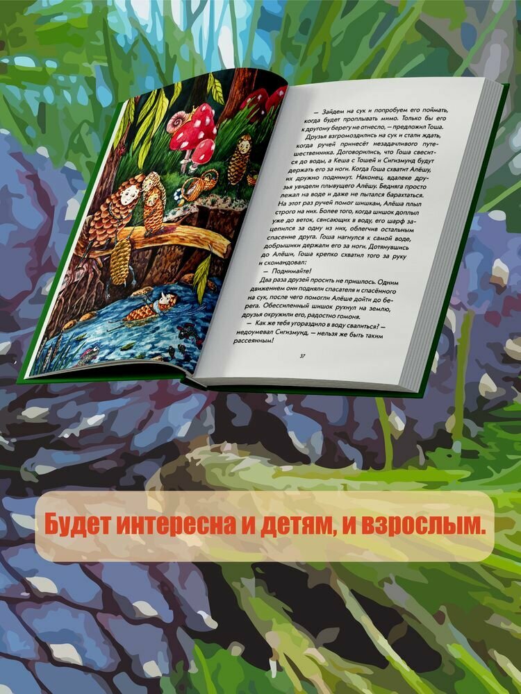 Шишки идут в поход. Сказки большого леса. Книга 2 - фото №10