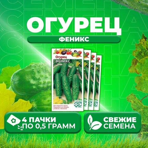 Огурец Феникс, 0,5г, Гавриш, Овощная коллекция (4 уп)