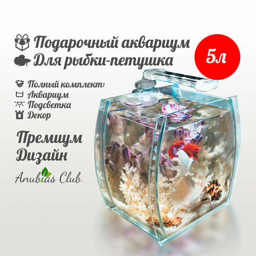 Аквариум для петушка, 5 л + декор, с подсветкой, акваферма, Anubias Club