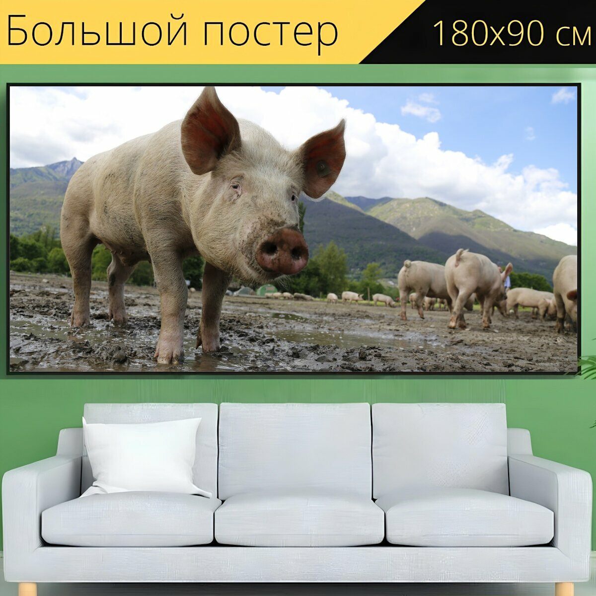 Большой постер "Свинья, сеять, домашняя свинья" 180 x 90 см. для интерьера
