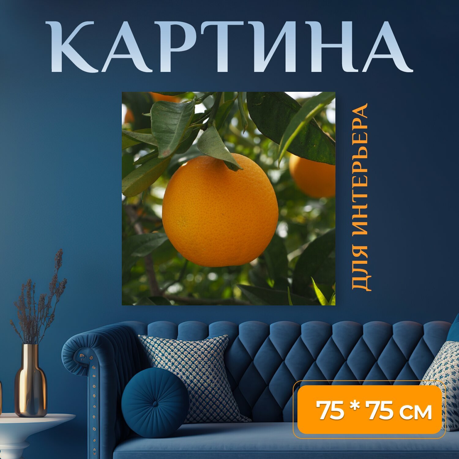 Картина на холсте "Апельсин, фрукты, апельсиновое дерево" на подрамнике 75х75 см. для интерьера