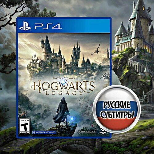 Игра Для PS4* Hogwarts Legacy (Русские субтитры; PlayStation 4; PlayStation 5) игра kingdoms of amalur reckoning для xbox 360