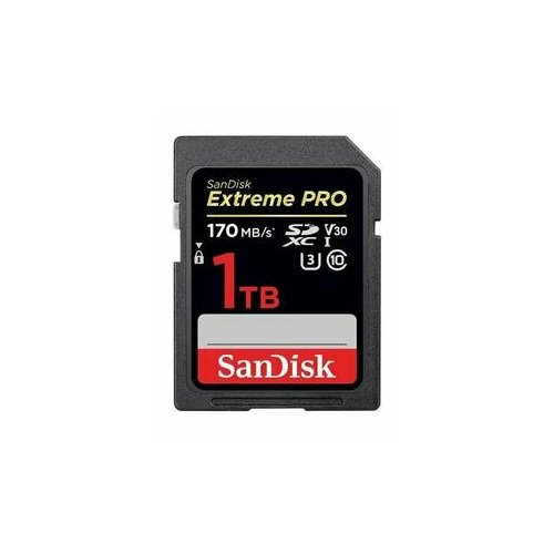 SANDISK Карта памяти SDXC 1TB UHS-I SDSDXXD-1T00-GN4IN SANDISK