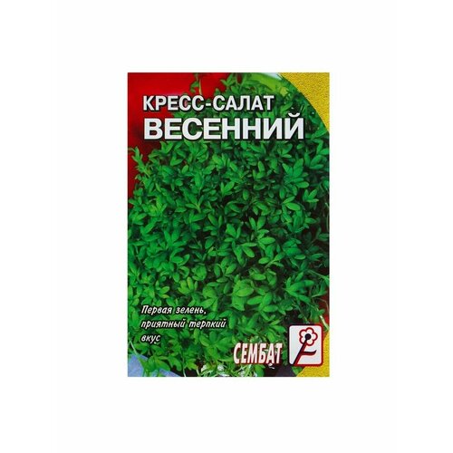 Семена Кресс-салат Весенний, 1 г