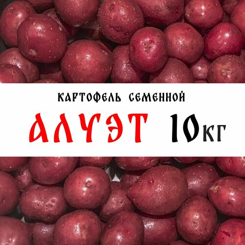 Семенной картофель сорта Алуэт 10кг, клубни