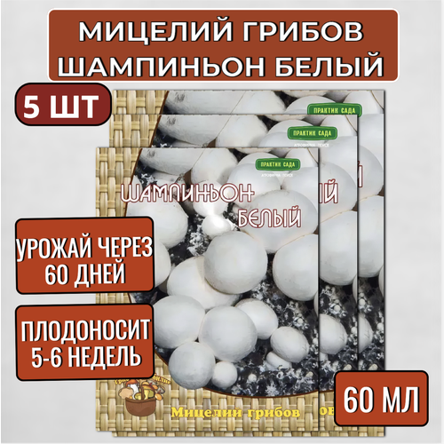 Агрохолдинг Поиск Мицелий грибов Шампиньон белый на субстрате 60 мл, набор 5шт шампиньоны 4 сезона шампиньон де пари замороженные 600 г