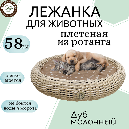 Лежанка для животных с подушкой 58см Дуб молочный, для кошки, для собаки, плетеная из полиротанга
