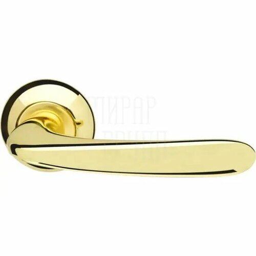 Ручка раздельная на круглой розетке Armadillo Pava LD42 золото