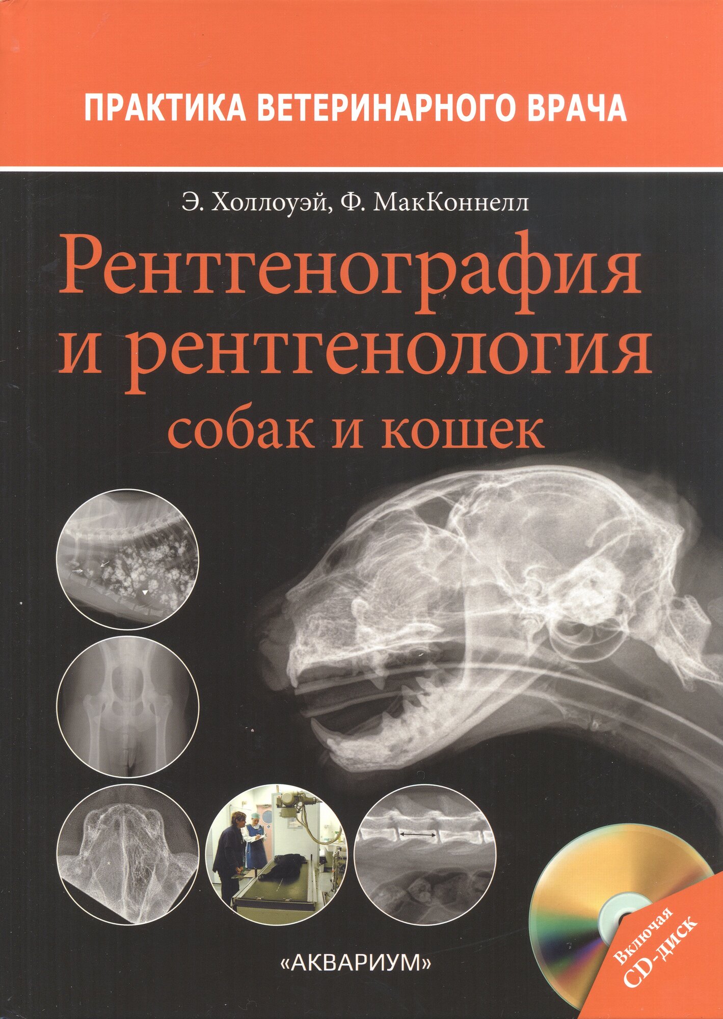 Рентгенография и рентгенология собак и кошек