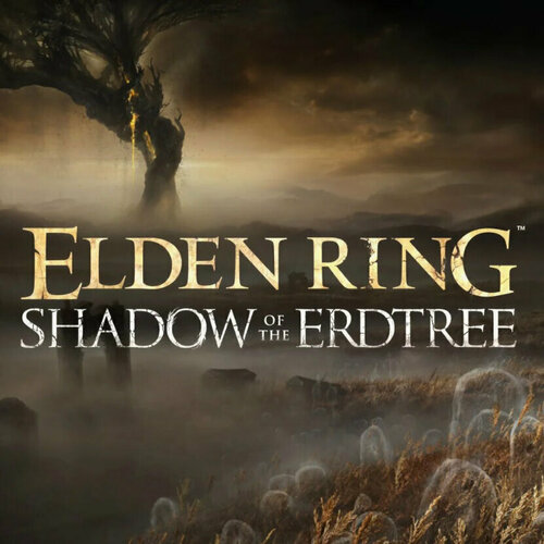 Игра ELDEN RING Shadow of the Erdtree Edition для PC / ПК, активация в стим Steam для региона РФ / Россия цифровой ключ