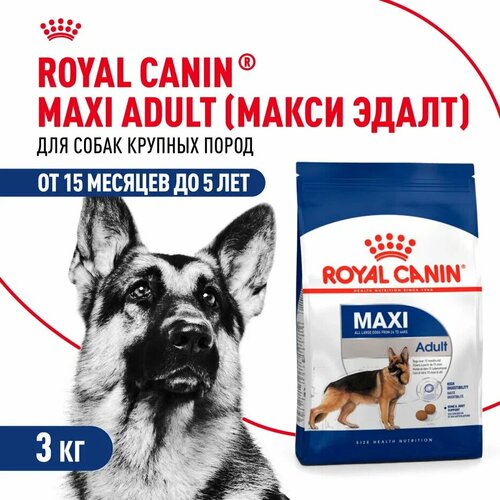 Royal Canin Maxi Adult для взрослых собак крупных пород Курица, 3 кг.
