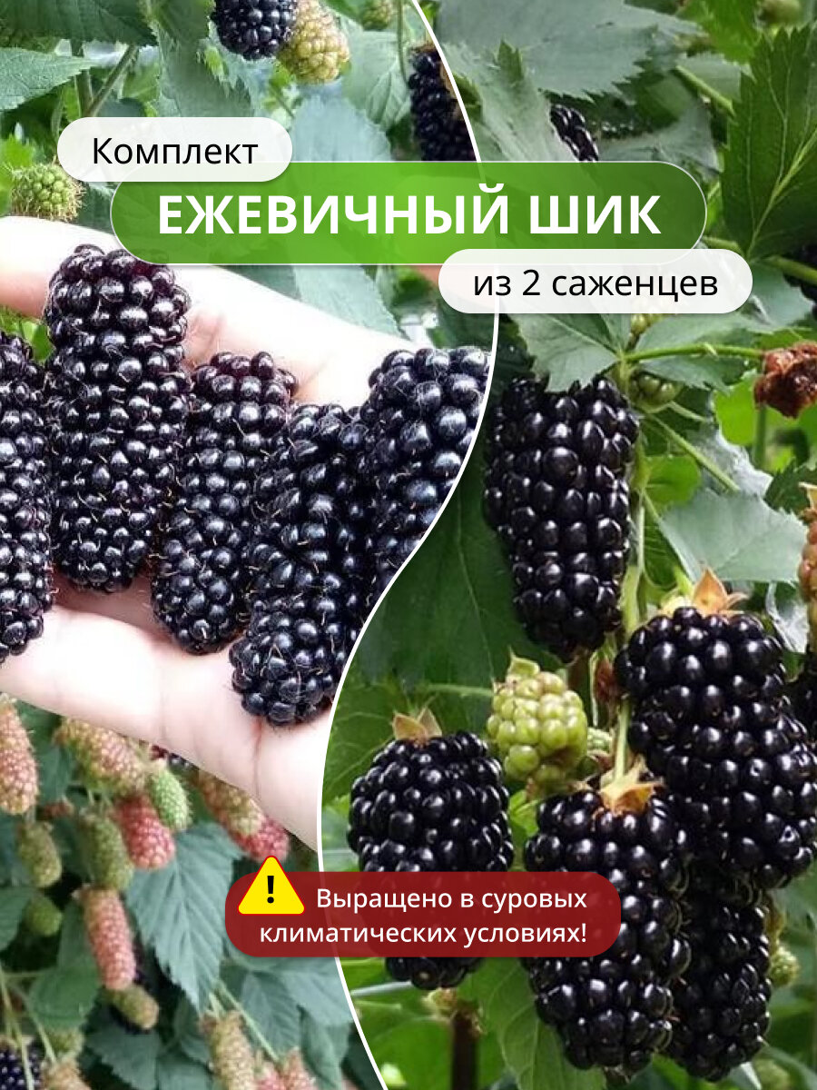 Комплект 