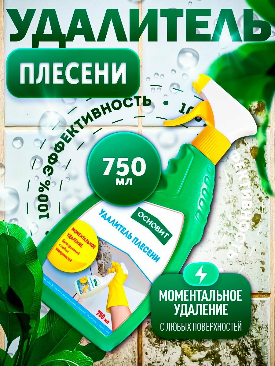 Удалитель плесени Основит СэйфСкрин SBd2 аэрозоль концентрат 750 мл