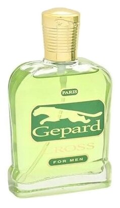 Туалетная вода Altro Aroma Gepard Cross мужская, 95 мл