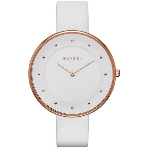 Наручные часы Skagen SKW2291