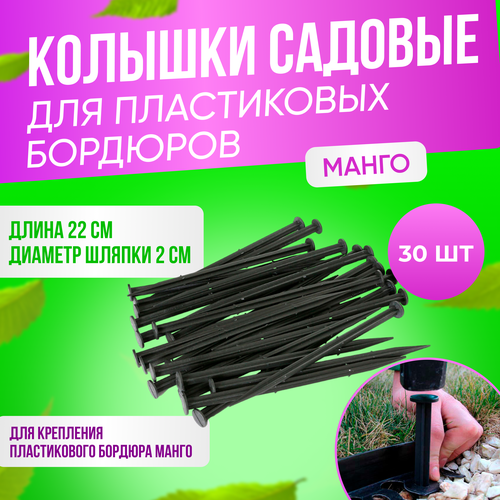 Колышек садовый для бордюрной ленты серии Манго ГеоПластБорд, 24см комплект 30 шт, черный