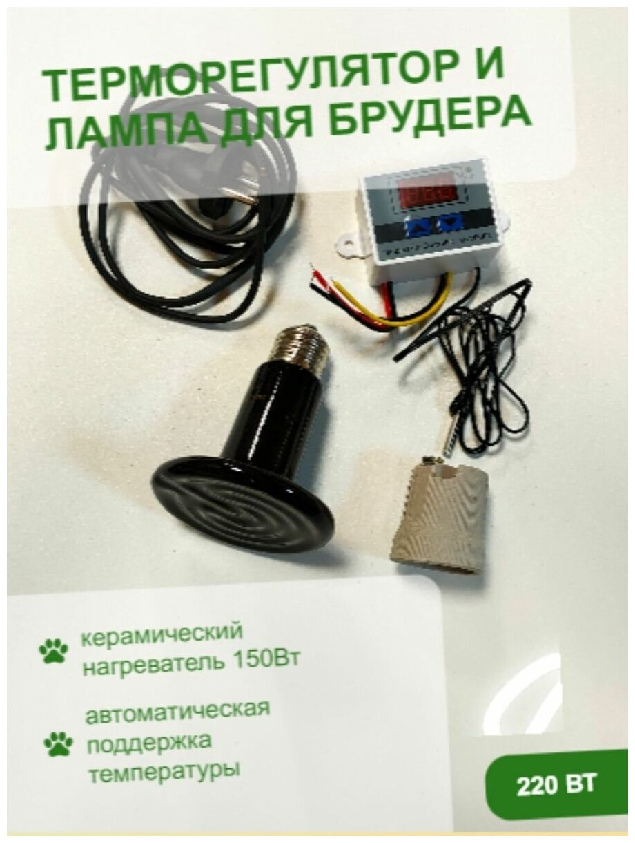 Комплект для брудера терморегулятор и лампа для брудера