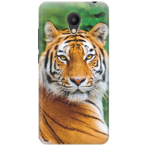 фото Re:pa накладка transparent для meizu m6 с принтом "портрет тигра"