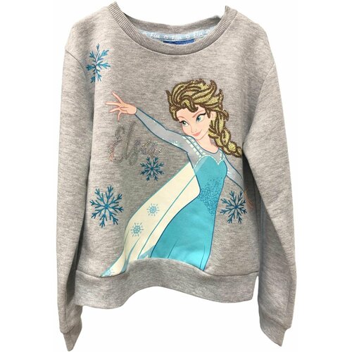 фото Толстовка , размер 146, серый нет бренда