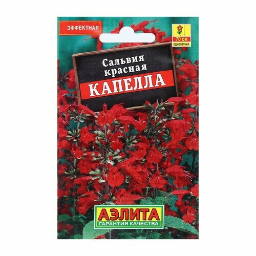 Семена Цветов Сальвия Капелла, красная, 0,1 г