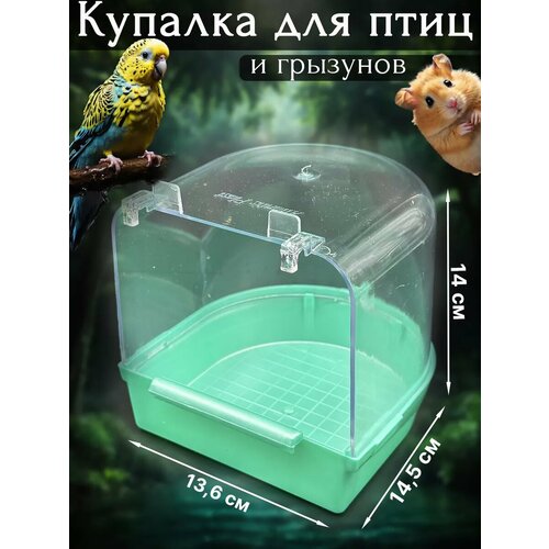 Купалка Vikki Zoo, для грызунов и птиц, светло-зеленая, пластик