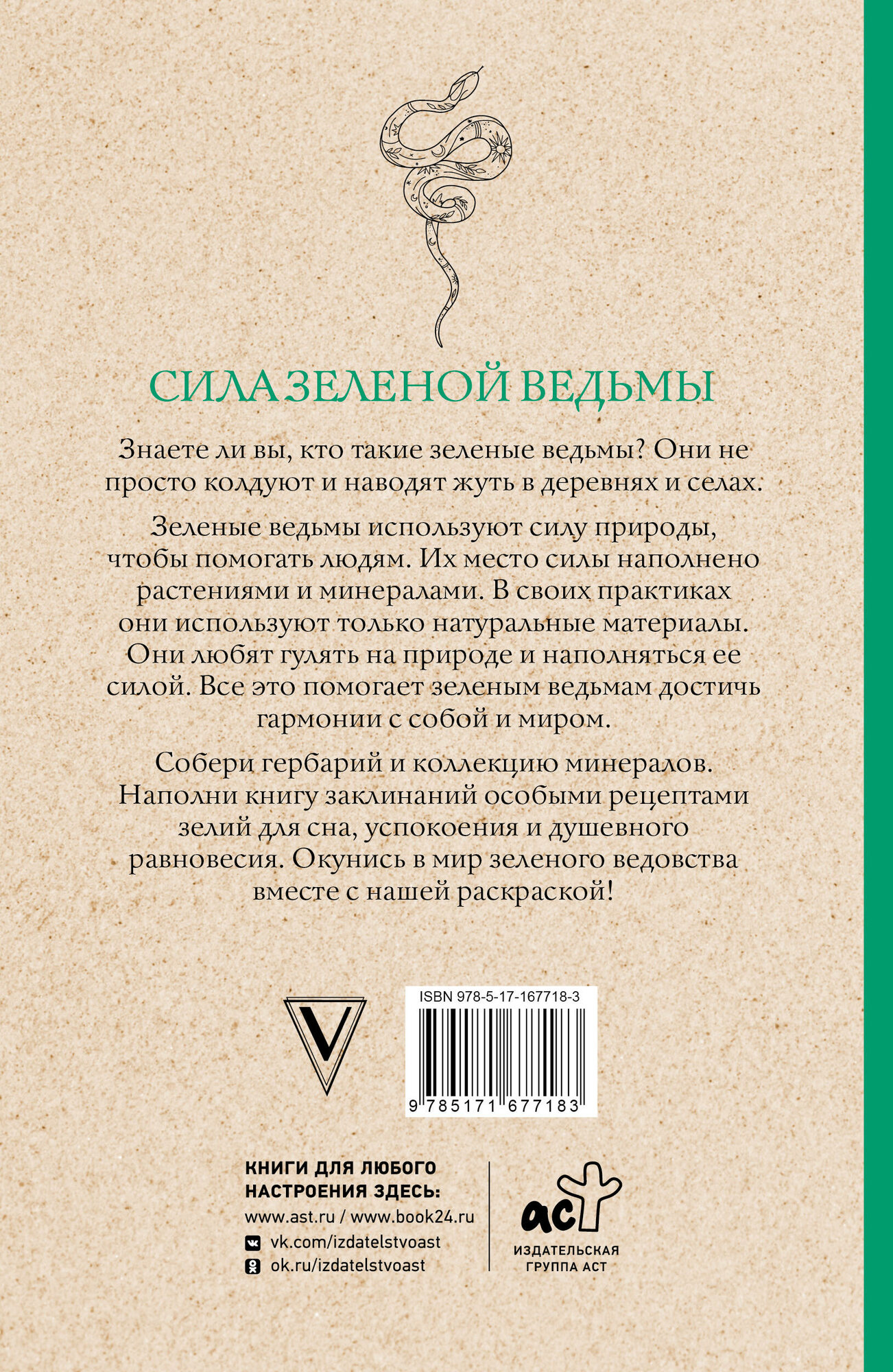Сила зеленой ведьмы. Раскраски антистресс Андерсен М. — фото 1