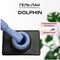 dolphin