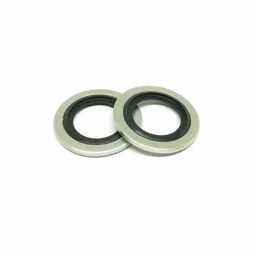 Уплотнительное кольцо под сливную пробку поддона картера Лада Ларгус, Веста, Х Рей, Рено 2 шт.