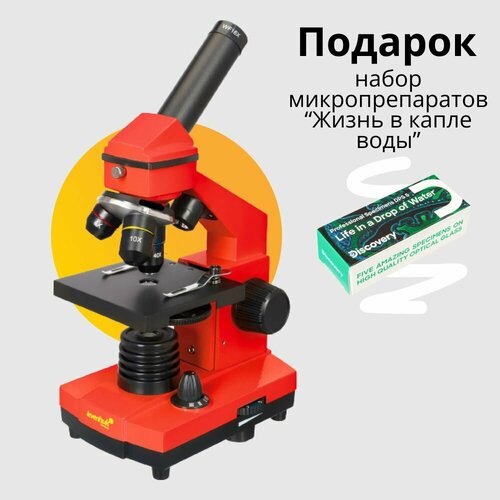 Микроскоп Levenhuk Rainbow 2L PLUS Orange Апельсин оранжевый
