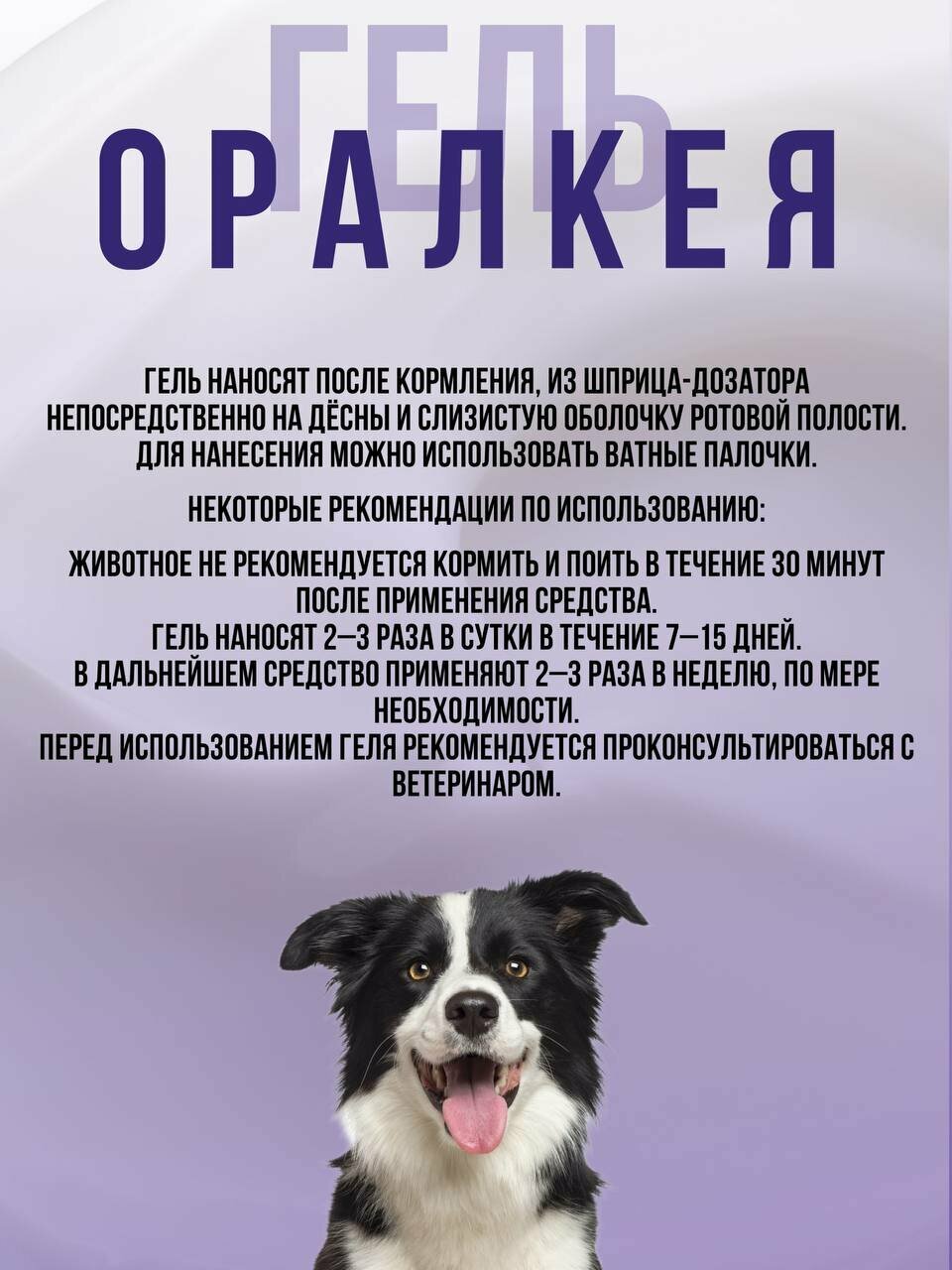 Гели Для Полости Рта Гель зоогигиенический для полости рта «Оралкея» для кошек, собак и других домашних животных, 20 мл