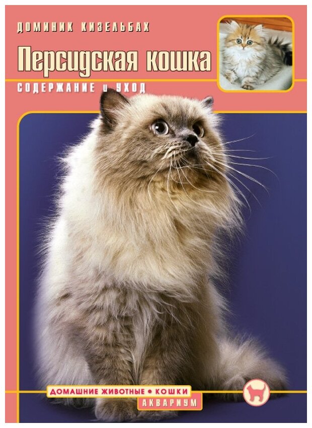 Персидская кошка. Содержание и уход - фото №1