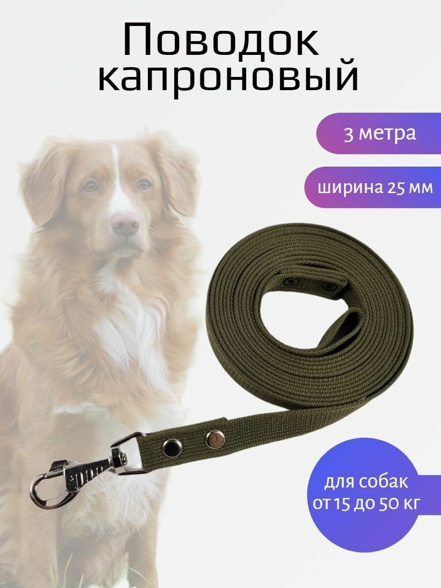 Поводок для собак капроновый с карабином (Зеленый) 3 м х 25 мм - фотография № 1
