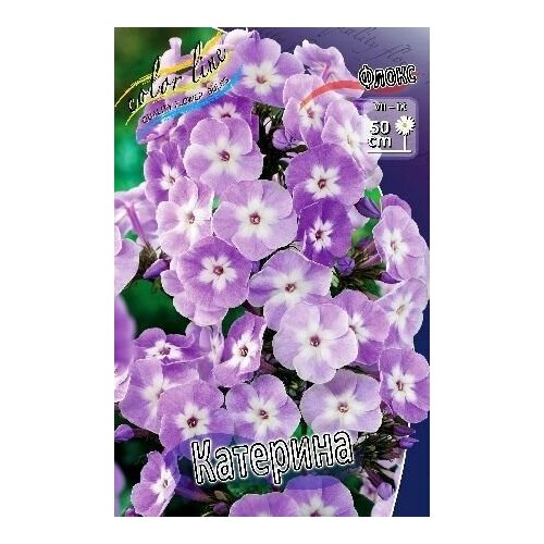 Флокс метельчатый Katherine (C1)