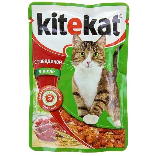 Влажный корм Kitekat для кошек, говядина в желе, пауч, 85 г