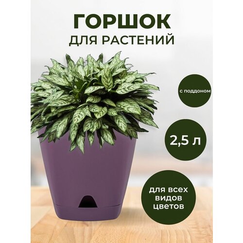 Горшок для растений декоративный Amsterdam 25л 350₽