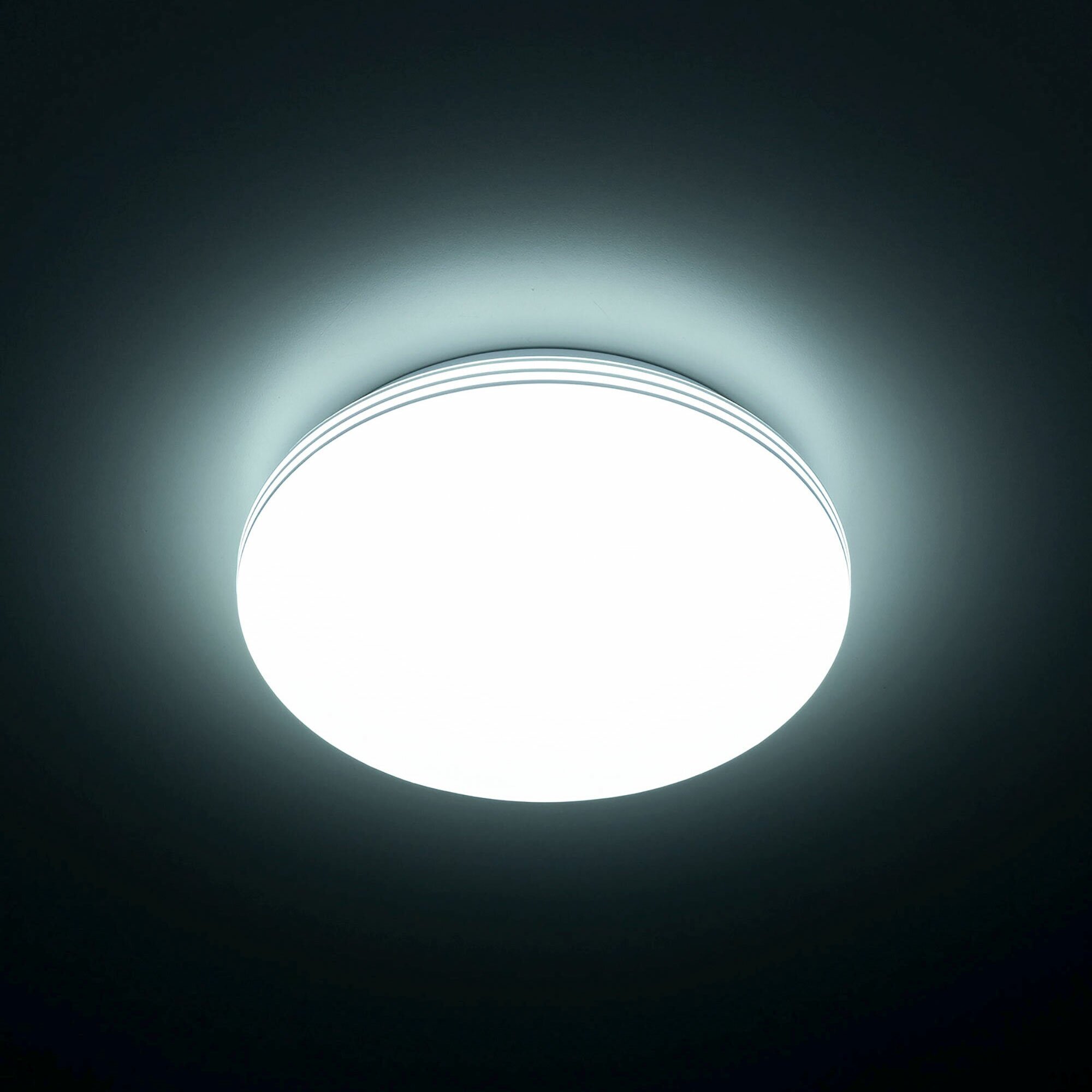 Потолочный светильник Citilux Симпла CL71424SV - фото №2
