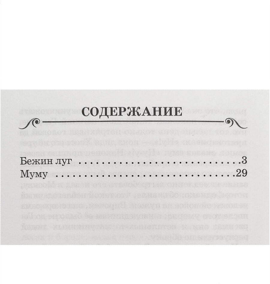 Бежин Луг Муму (Тургенев Иван Сергеевич) - фото №2