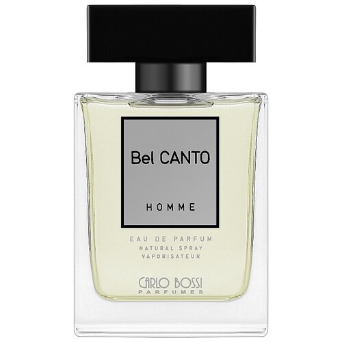 Carlo Bossi Parfumes парфюмерная вода Bel Canto Silver, 100 мл, 380 г пассивная ac volta bel canto c1 w