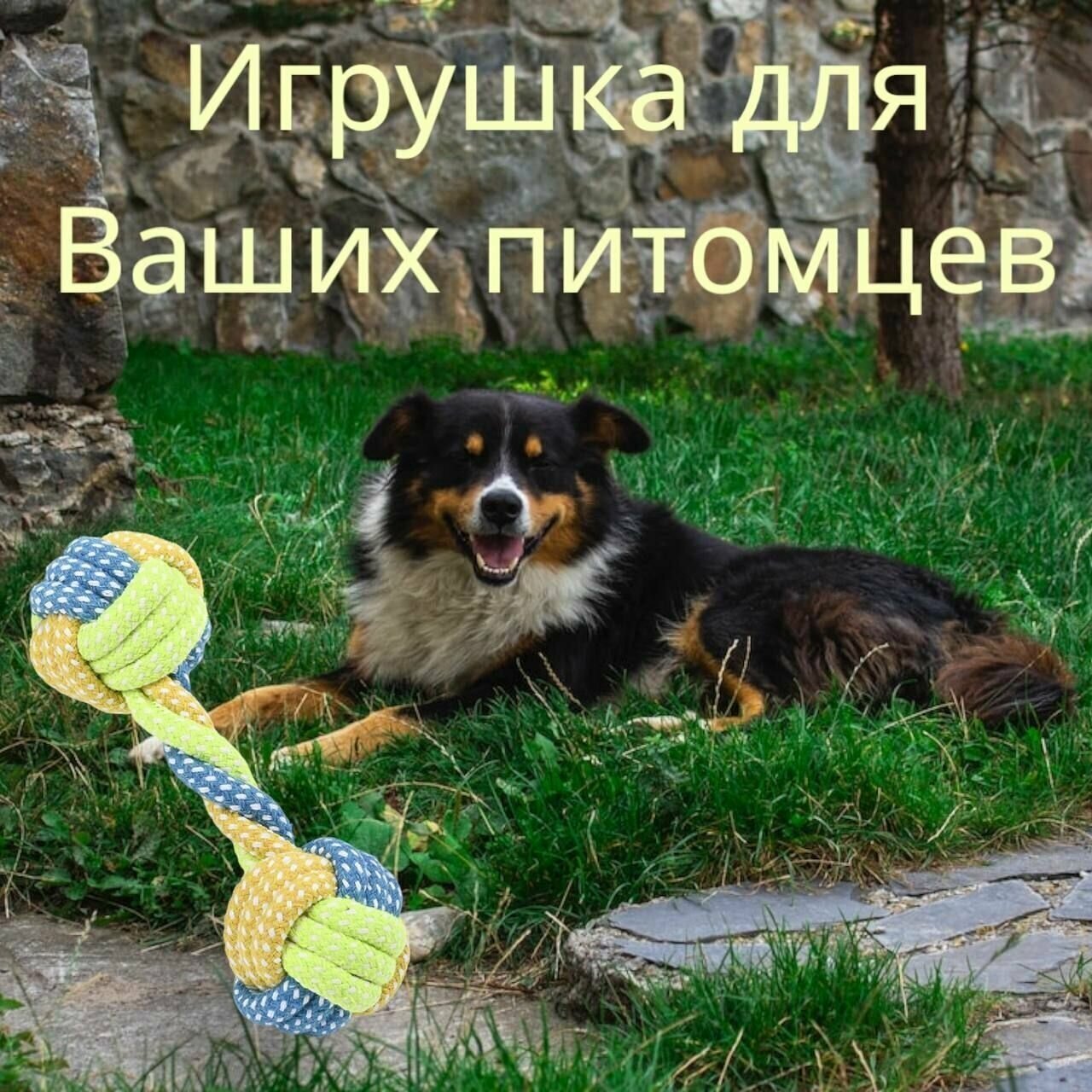 Игрушка для собак ELS PET Плетеный канат-кость, длина 19 см, жевательная игрушка для прорезывания и чистки зубов - фотография № 1