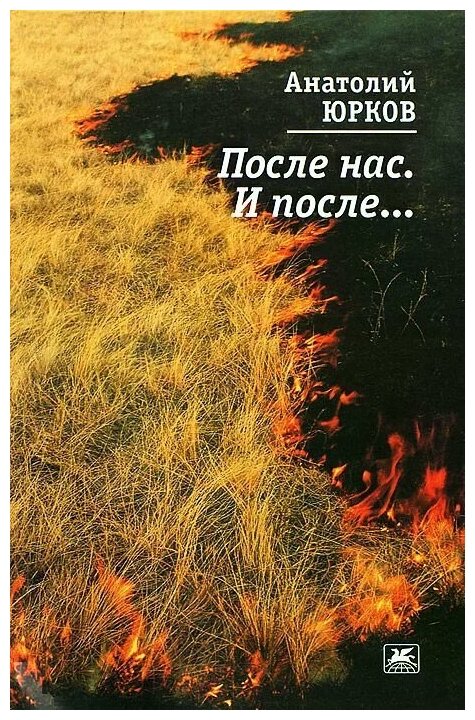 После нас. И после… (Юрков Анатолий Петрович) - фото №1