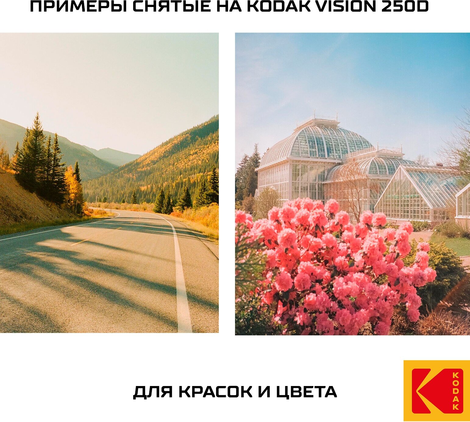 Фотопленка цветная 36 кадров теплые оттенки Kodak 250D