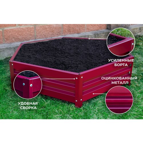 Клумба вишня 1 метр