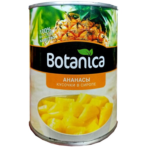     Botanica 580 