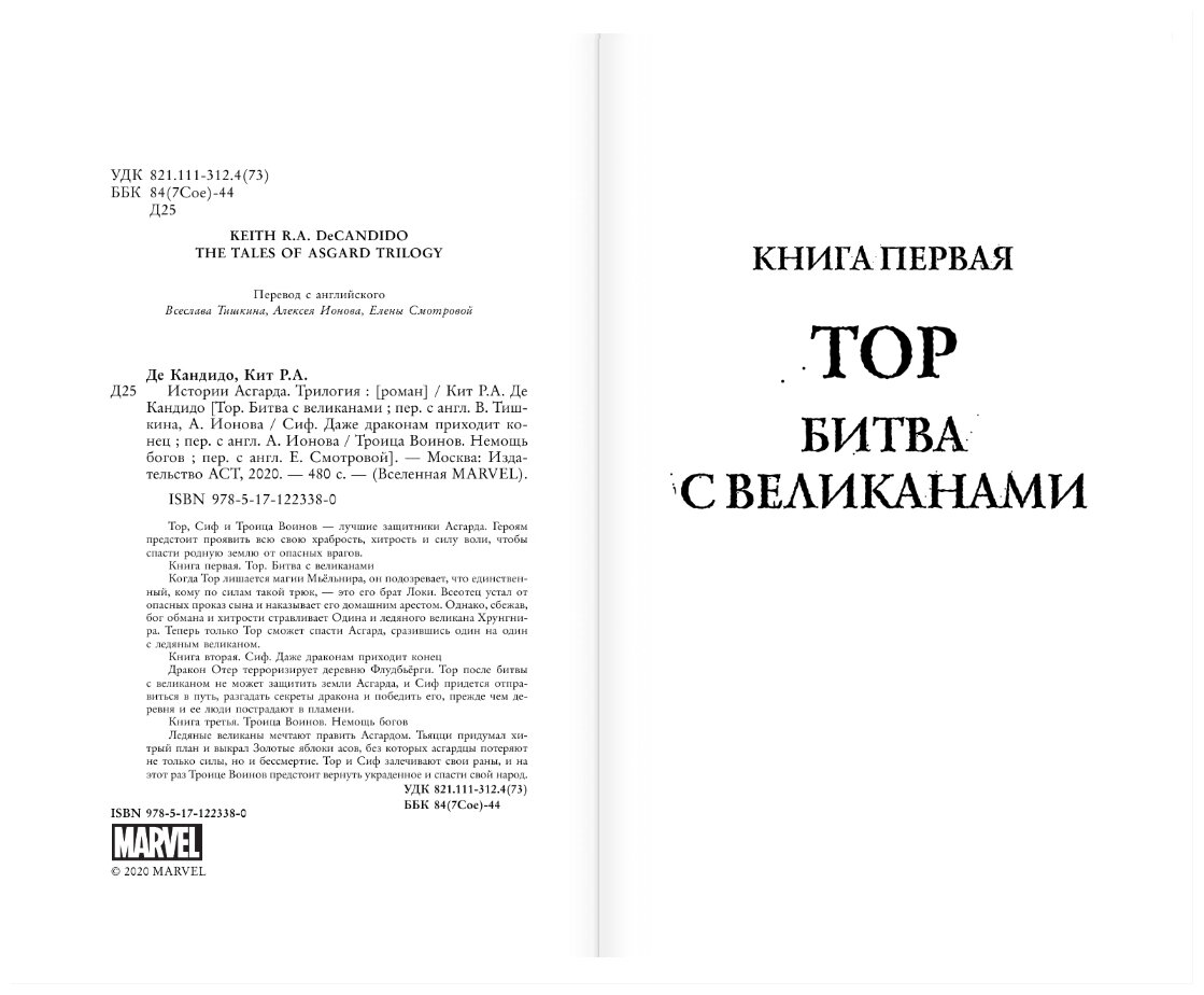 Истории Асгарда. Трилогия (ДеКандидо Кит Р.А.) - фото №4