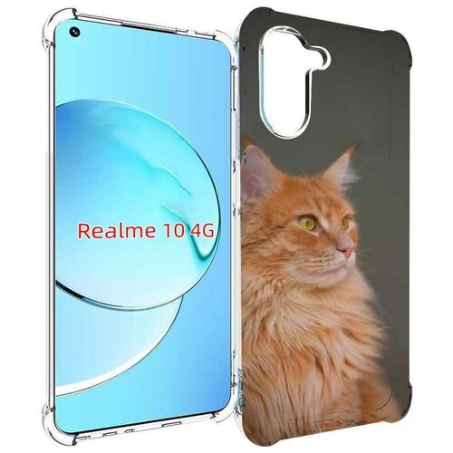 Чехол MyPads кошка мейн кун 1 для Realme 10 задняя-панель-накладка-бампер