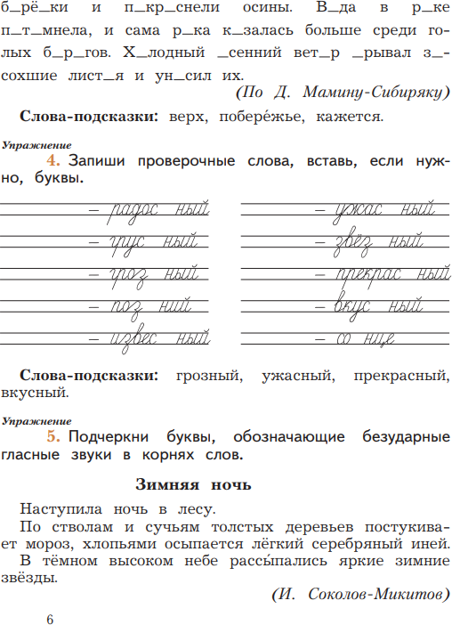 Русский язык. Пишем грамотно. 2 класс. Рабочая тетрадь Часть 2