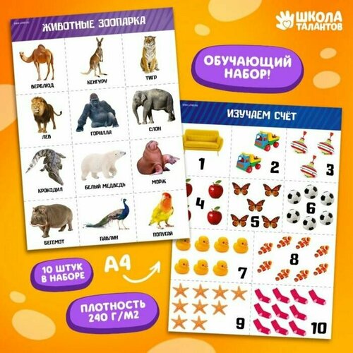 Набор обучающих плакатов 