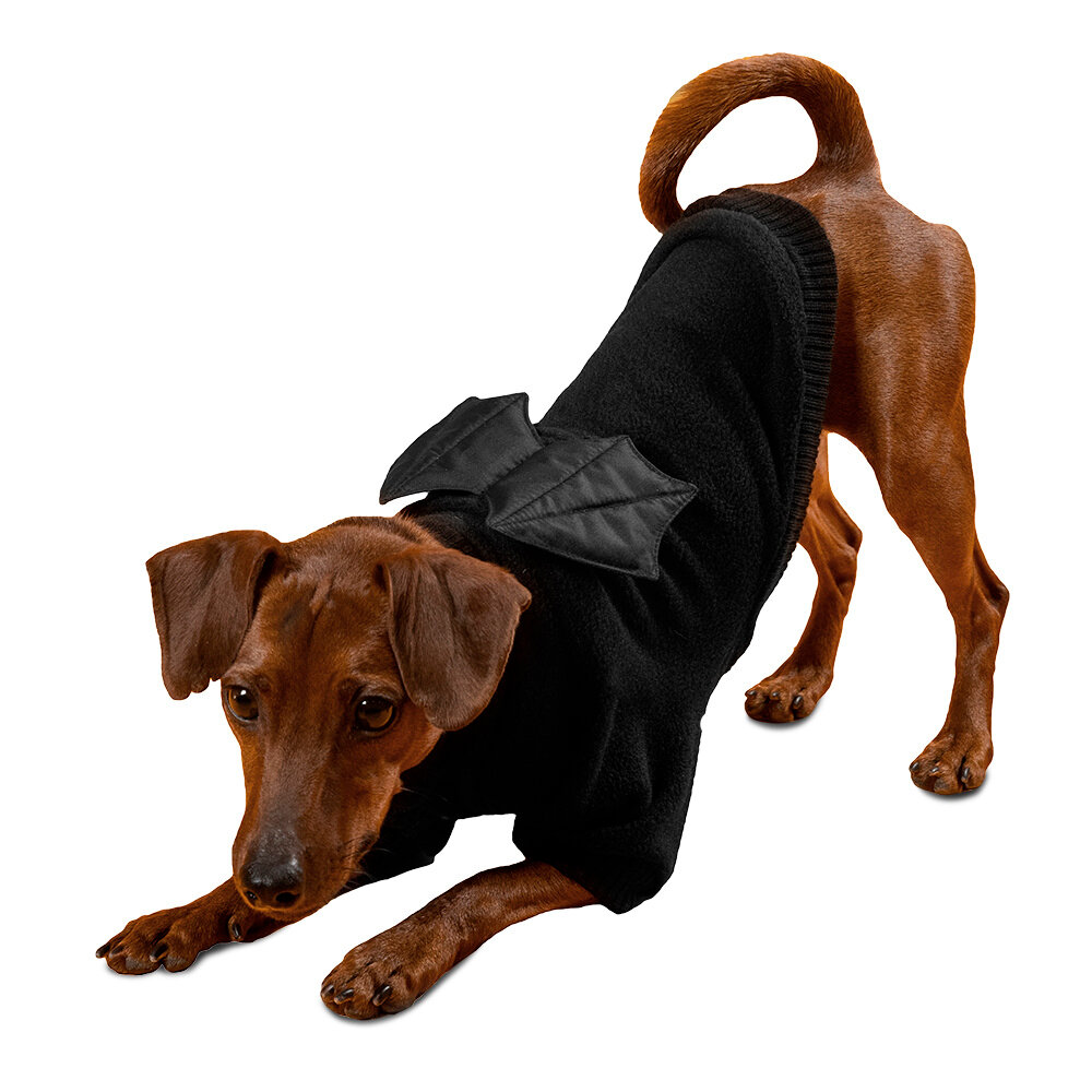 Одежда для животных Tappi толстовка "Дракула" для собак, черный, спинка 27 см
