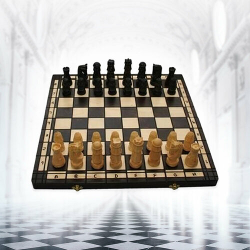 Подарочные шахматы Спартанские