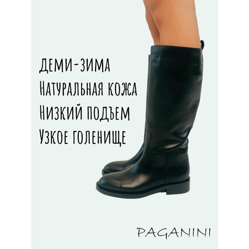 фото Сапоги paganini, размер 36, черный